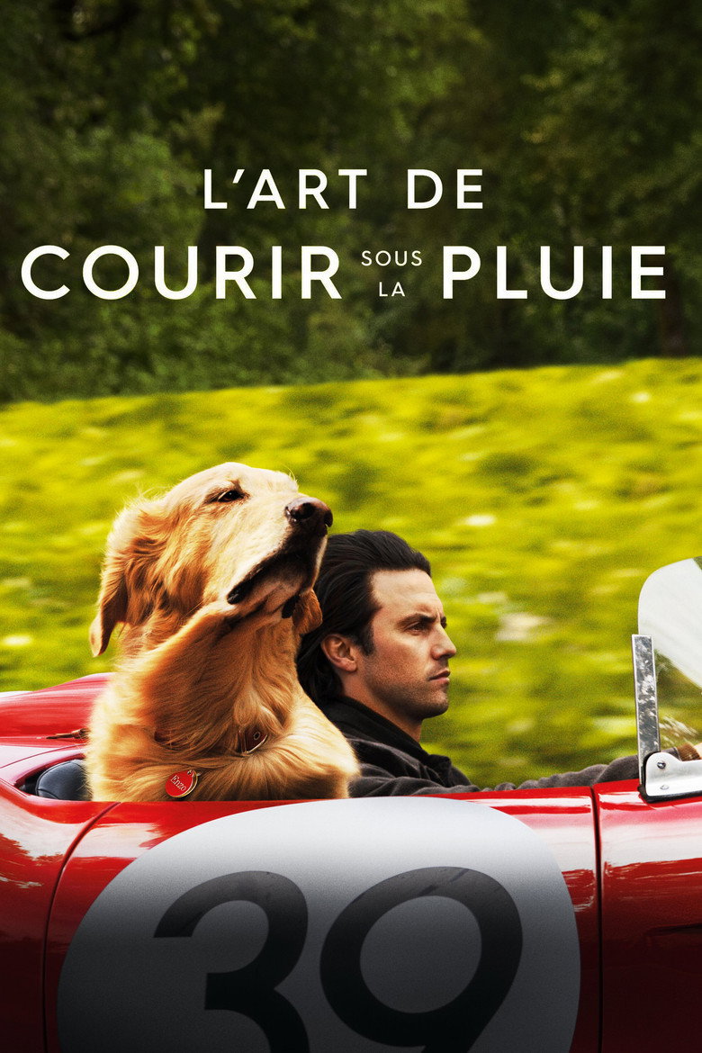 Affiche de DANS LES YEUX D'ENZO