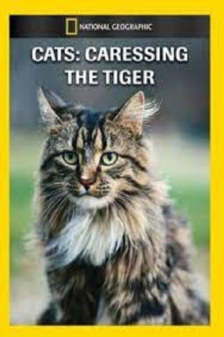 Imatge de Cats: Caressing The Tiger