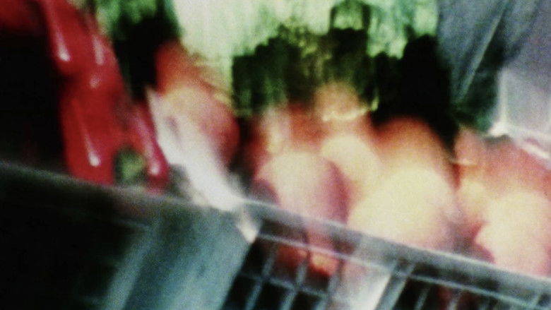 Gallery image from yLbPuDWOigjc6OoT8uJChj3VP8C.jpg