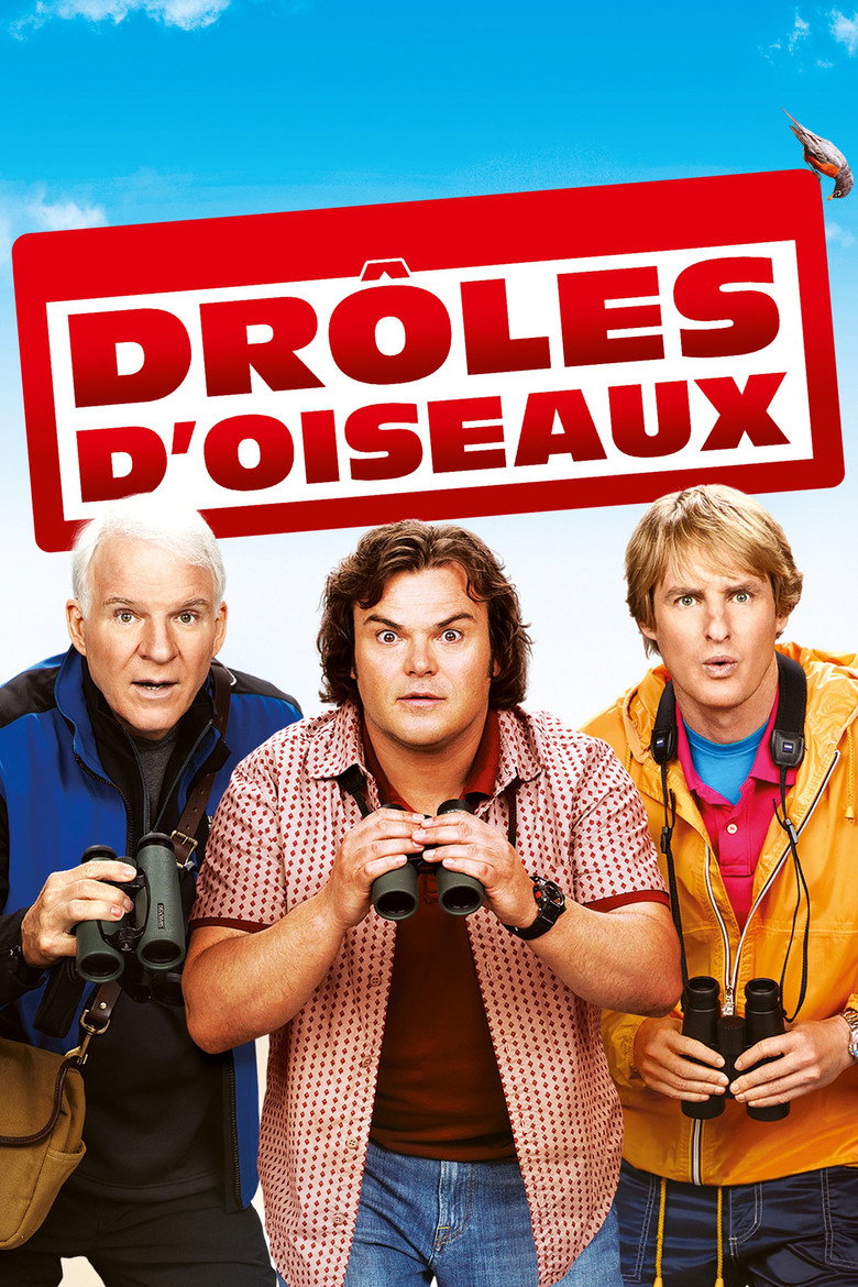 Affiche de DRÔLES D'OISEAUX