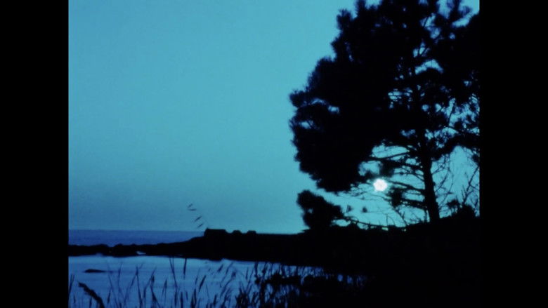 Gallery image from yMmgWLJzbznOI8PrsWpEyzHKWjS.jpg