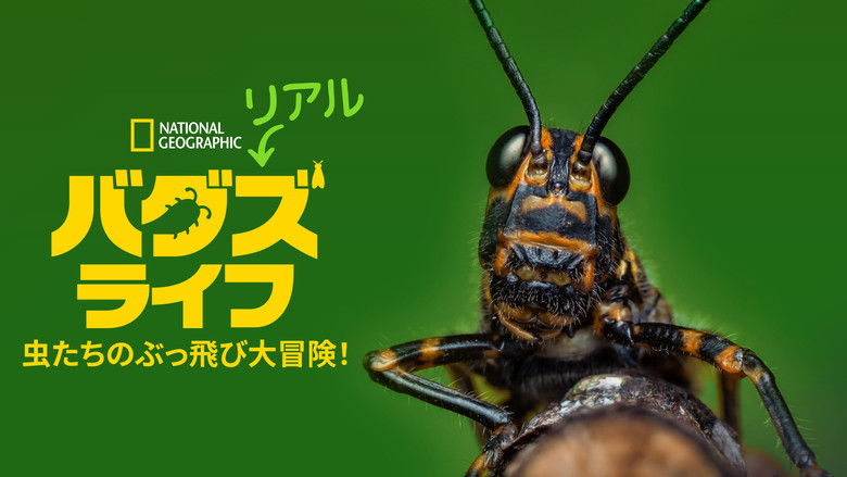 Gallery image from yMnTX50HQvCxXmoH9IZ2DLnxVDQ.jpg