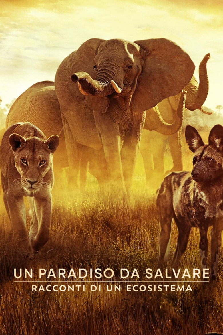 Copertina di Un paradiso da salvare: racconti di un ecosistema