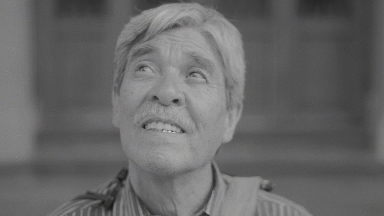 Imatge de The time for the past