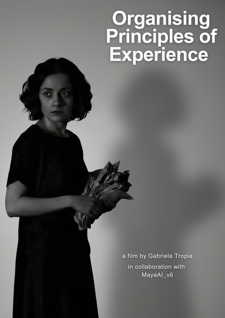 Organising Principles of Experience