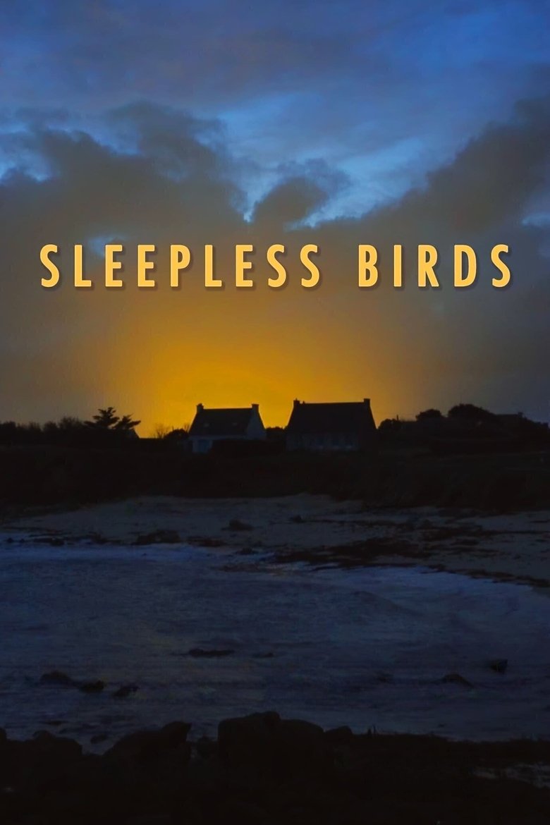 Sleepless Birds main poster
