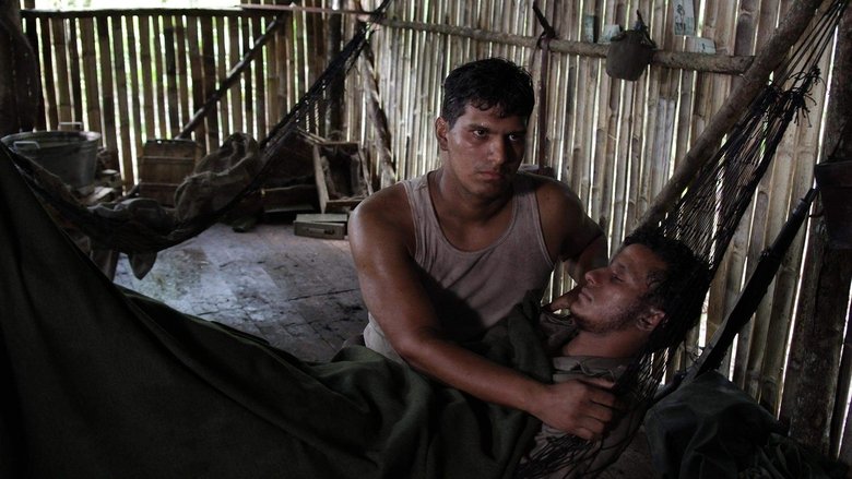 Open Wound (2013)