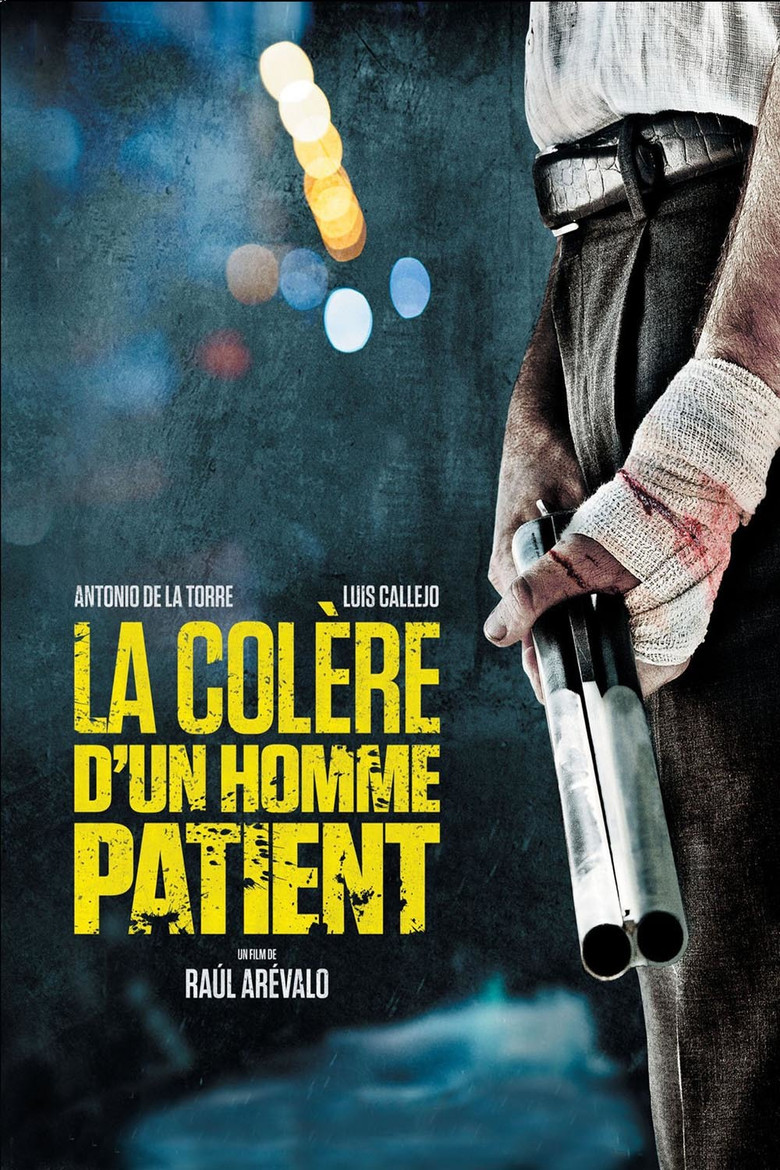 Affiche de LA COLÈRE D’UN HOMME PATIENT