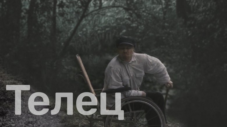 Gallery image from yQxrrbbPbRyLtSxC4Ua16bDs1gi.jpg