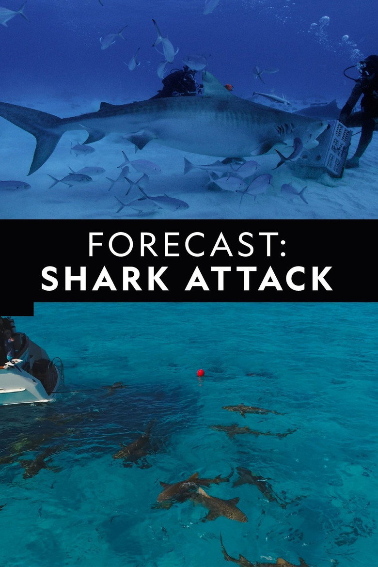Affiche ou illustration — Forecast Shark Attack