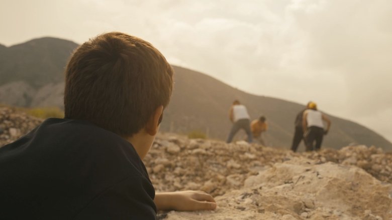 Una Historia de Ovejas y Luciérnagas (2025)