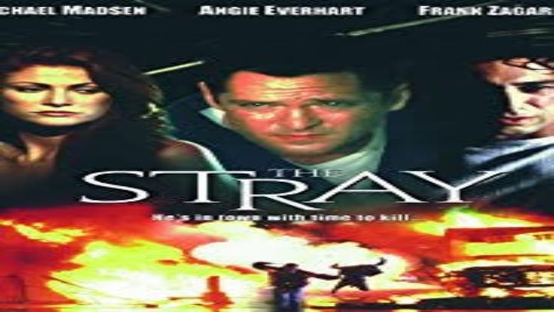 The Stray movie poster