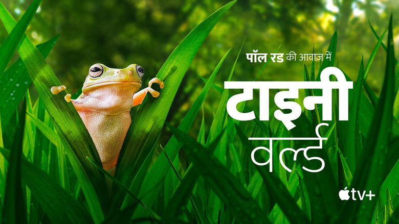 Gallery image from yRU1MbBHqEzeehmRrNNzShWgq1N.jpg