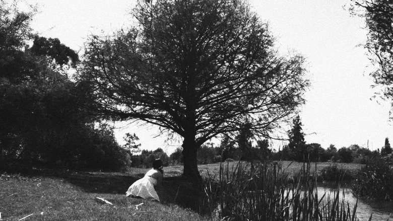 Gallery image from yRu9Wua8WxQsd4uNJTwdmgPHI8W.jpg