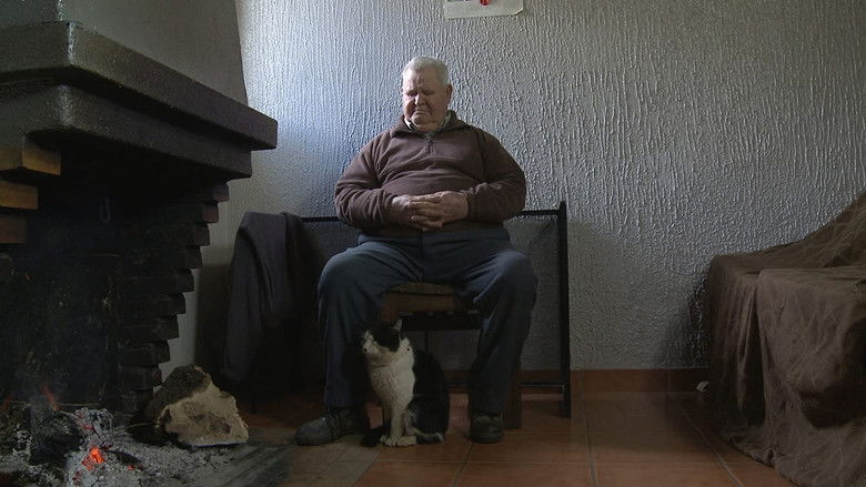 Gallery image from ySEymYGiWG2HAHwXTfxO2XOB6fD.jpg