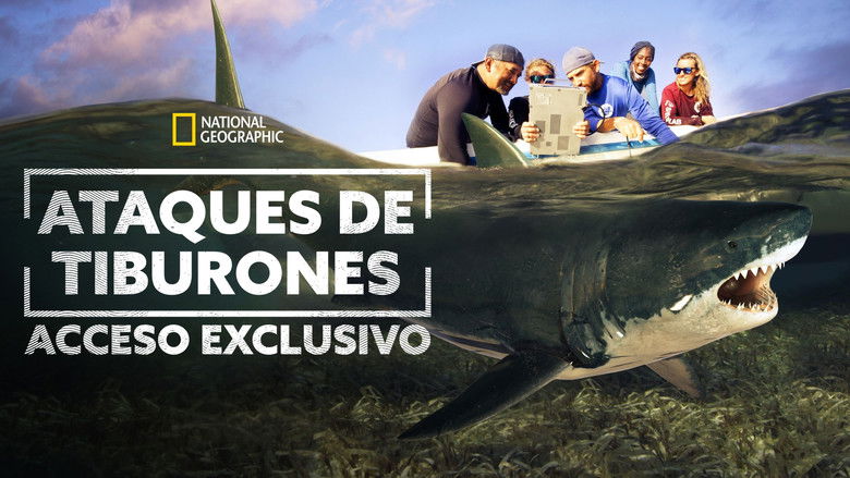 Yskbb44uemuzmvej7imm4agucpo