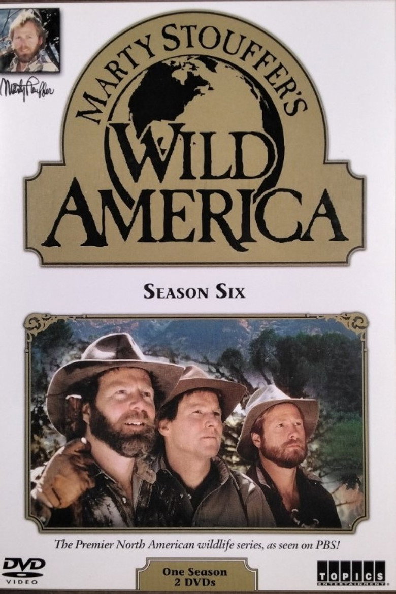 Season 6