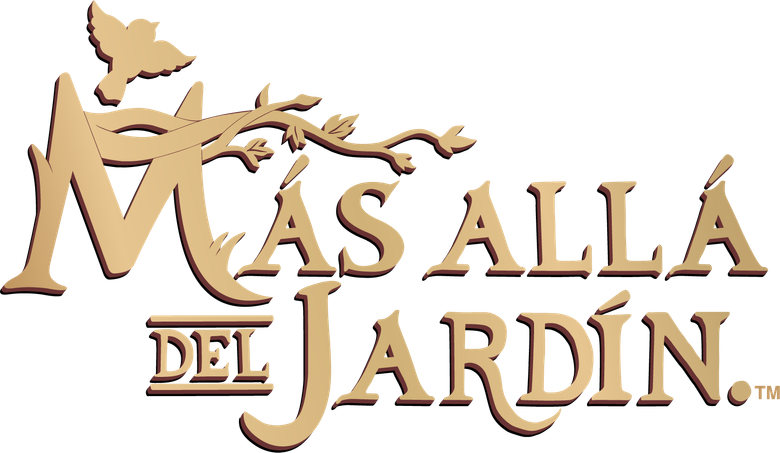 Imagen 15