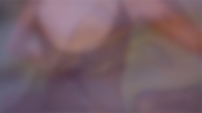 Finding Vision, Finding Voice main backdrop