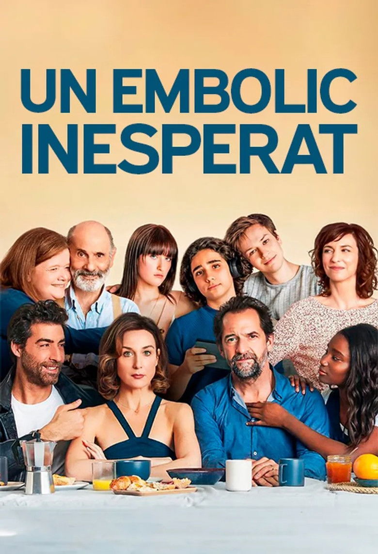 Imatge de Un embolic inesperat