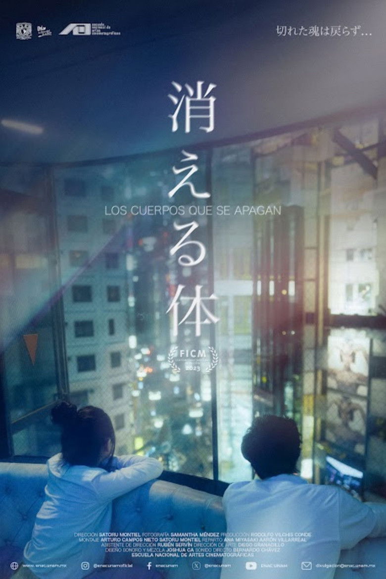 Imatge de Los cuerpos que se apagan