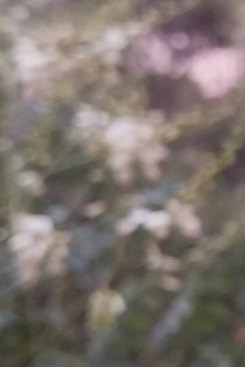 Monotony background