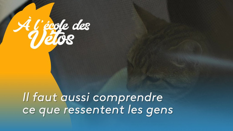 Still image for A l'école des vétos season 1 episode 6: Episode 6