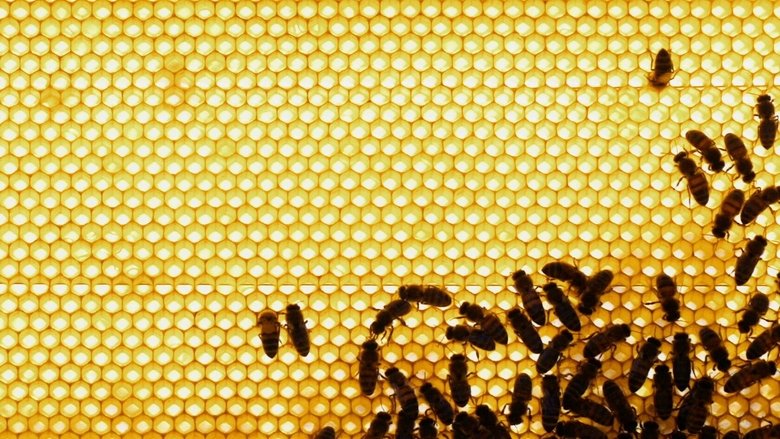 Gallery image from yTgJ1v4temacEAOcr8uQdon0ZZh.jpg
