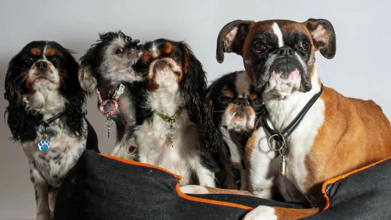 Still image for Amanda to the Rescue season 1 episode 7: Home Sweet Home Still image for Amanda to the Rescue season 1 episode 7: Home Sweet Home