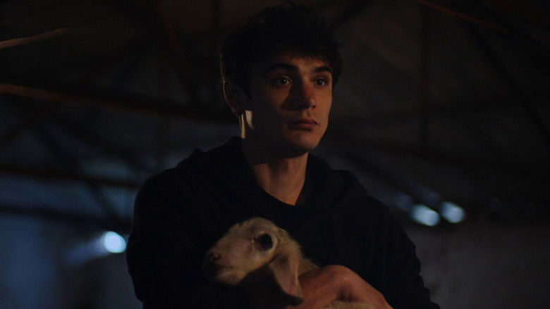 Медиа изображение