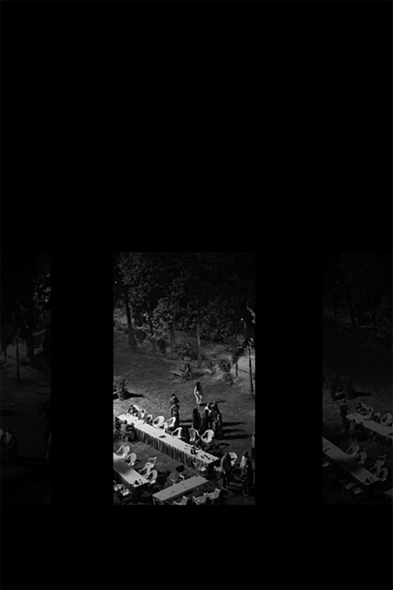 The Frog is the Pond's Witness main poster