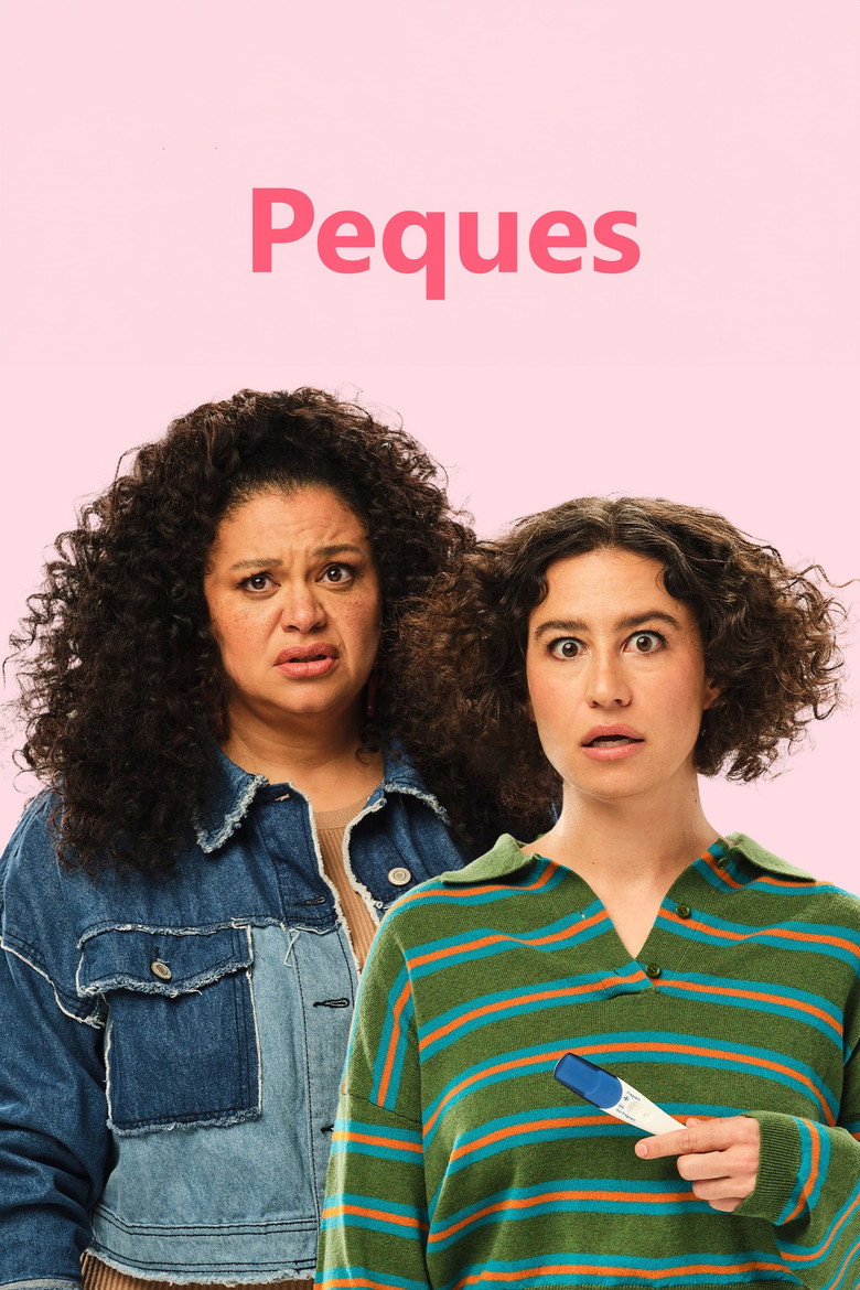 Póster la Película