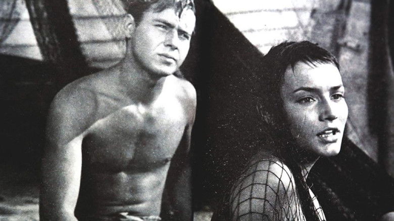 Imatge de Слънцето и сянката