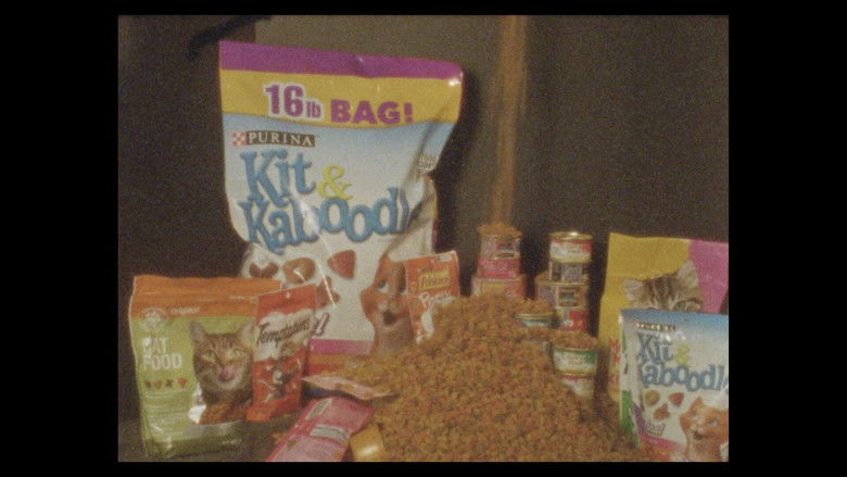 Gallery image from yVU3ztmUT6Jg8y6VGukoTMqdKWg.jpg