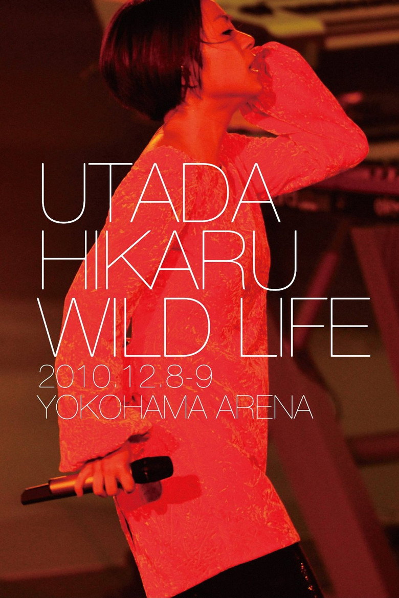 仓木麻衣 WILD LIFE background