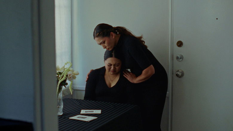 Gallery image from yVadyHoUvibOHCcyu6j3DRRq3dX.jpg