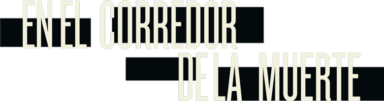 Imagen 13