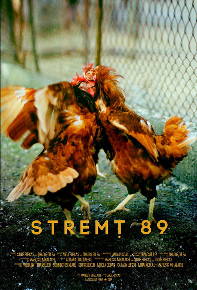 Poster Stremt 89