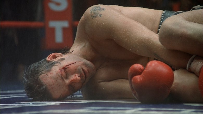 Gallery image from yXmBlDdkCaVw8B025gJbCHG6XS9.jpg