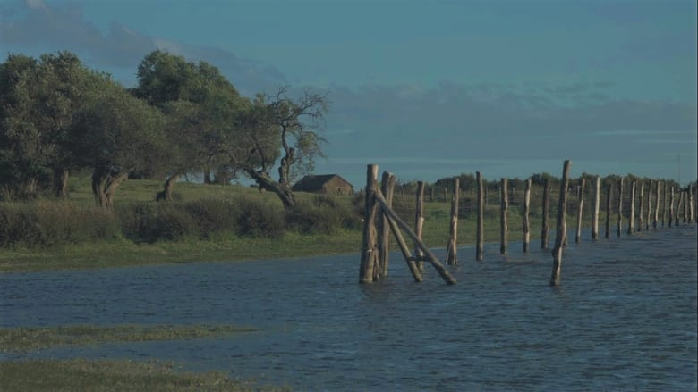 Voces del Bajo Guadalquivir