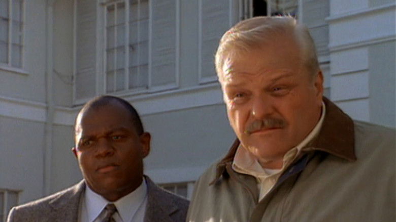 Backdrop de Jack Reed Collection