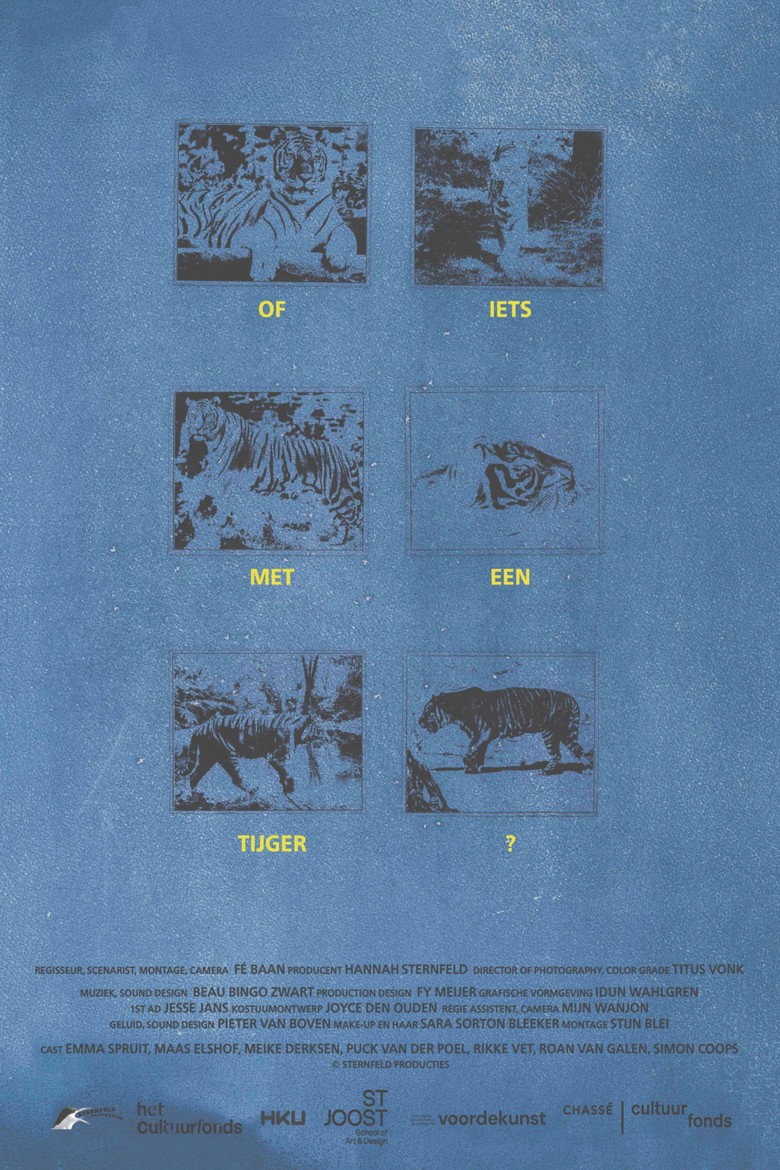 Imatge de Of iets met een tijger?