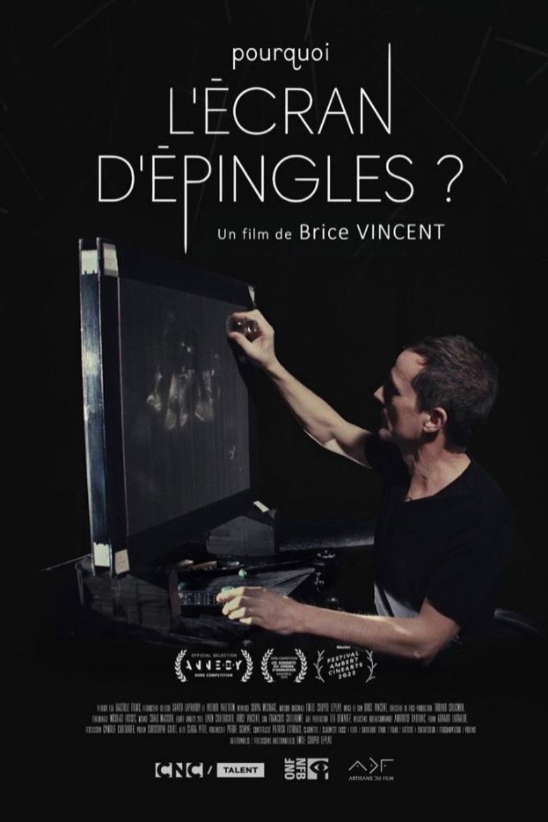 Imatge de Pourquoi l'écran d'épingles ?