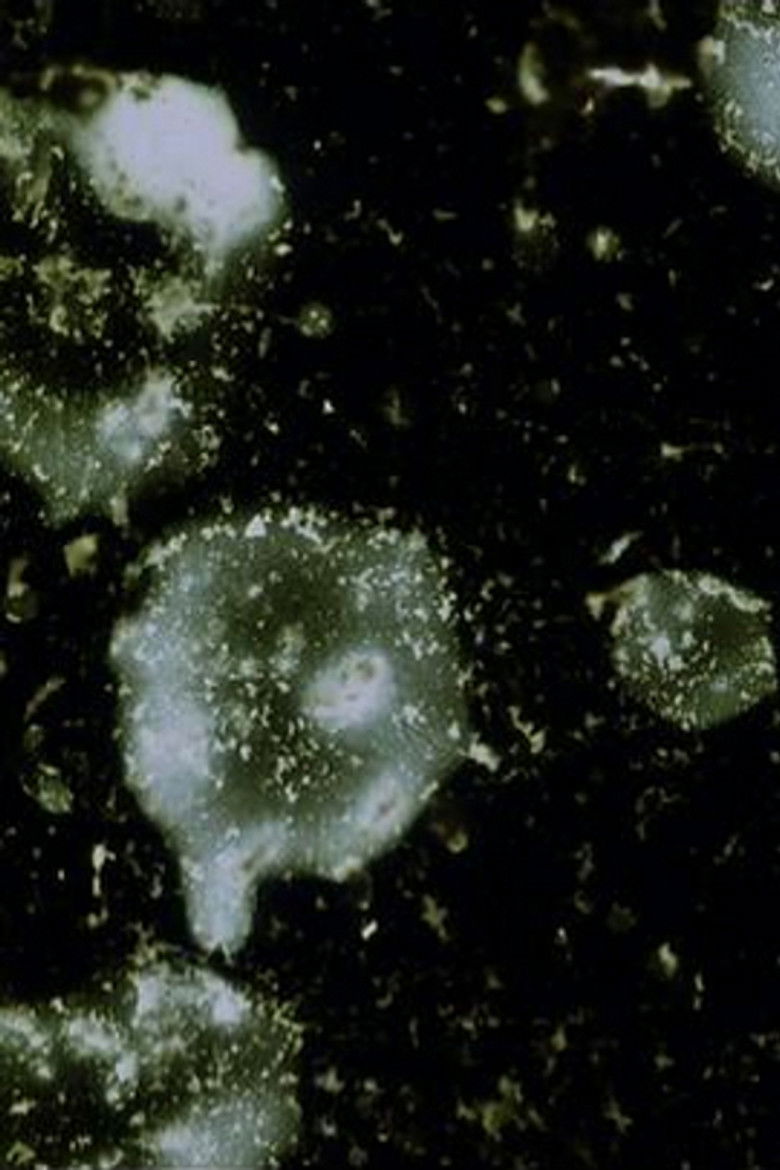 Imatge de Nebula Rising