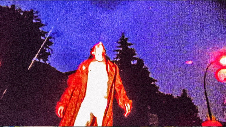 Film backdrop