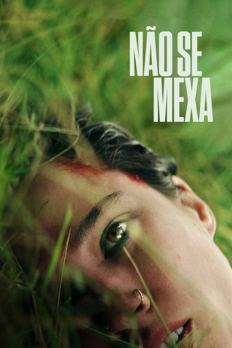 Póster la Película