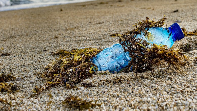 Sea of Plastic (2020)