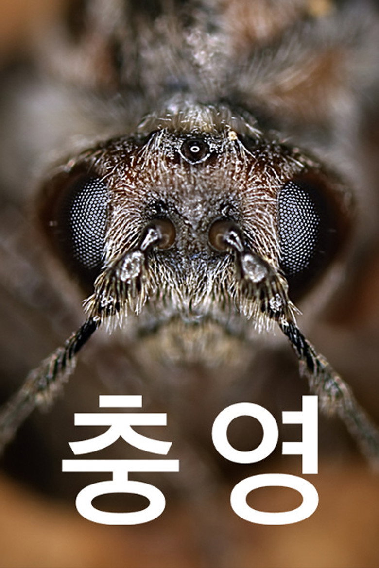 Official poster for 충영