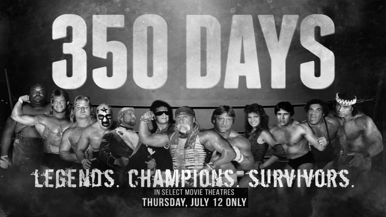 350 Days movie poster