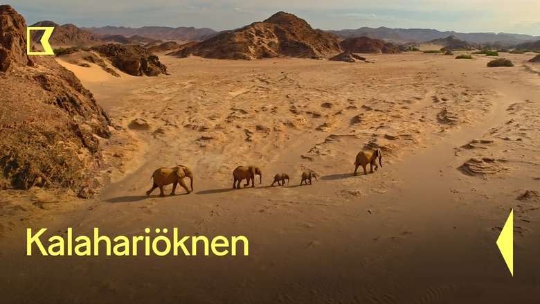 Gallery image from yduk4n9SVKja5iFDBgEs8XSAaSp.jpg